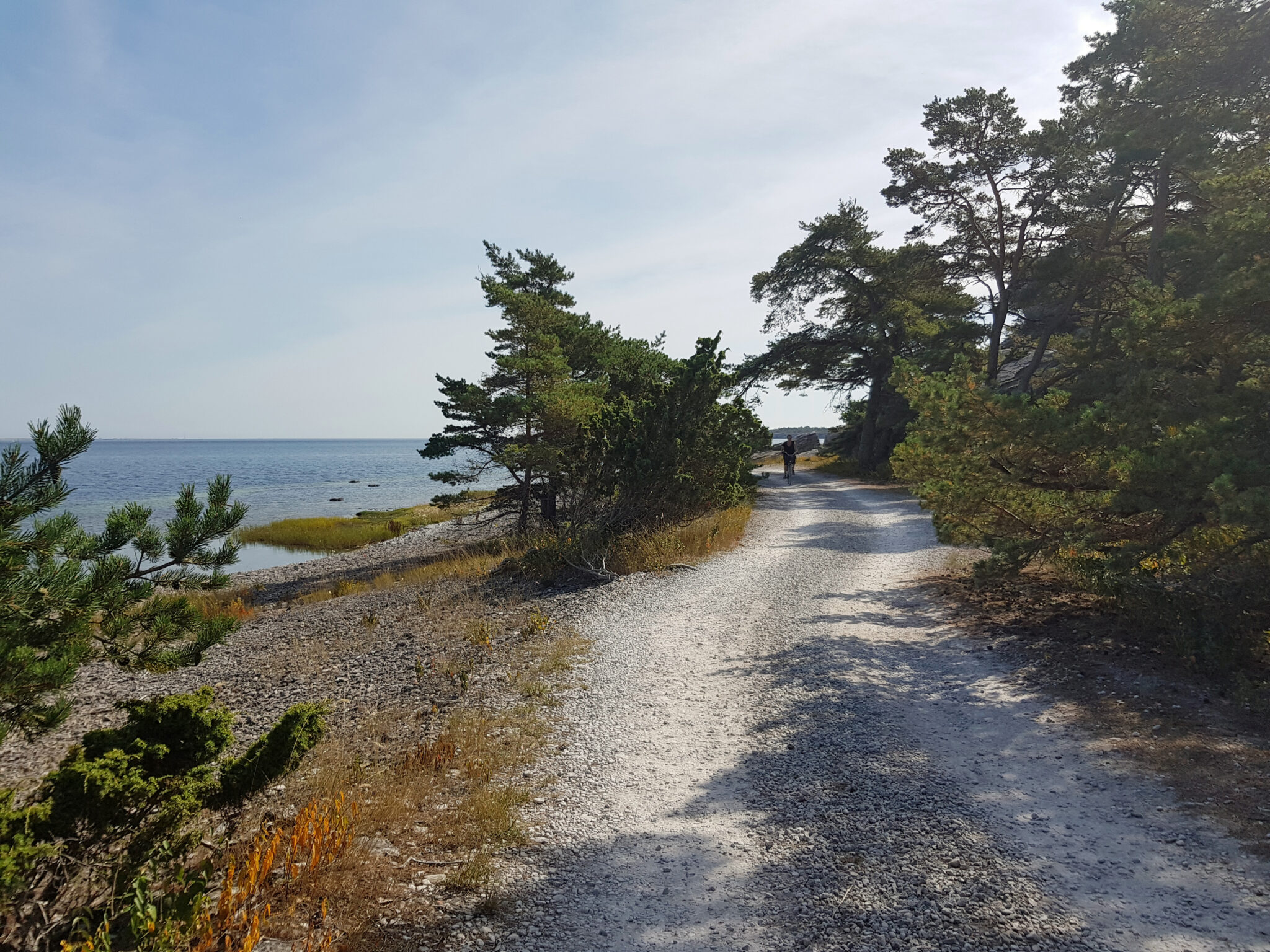 cykla-p-stra-gotland-gotlands-officiella-inspirationssida