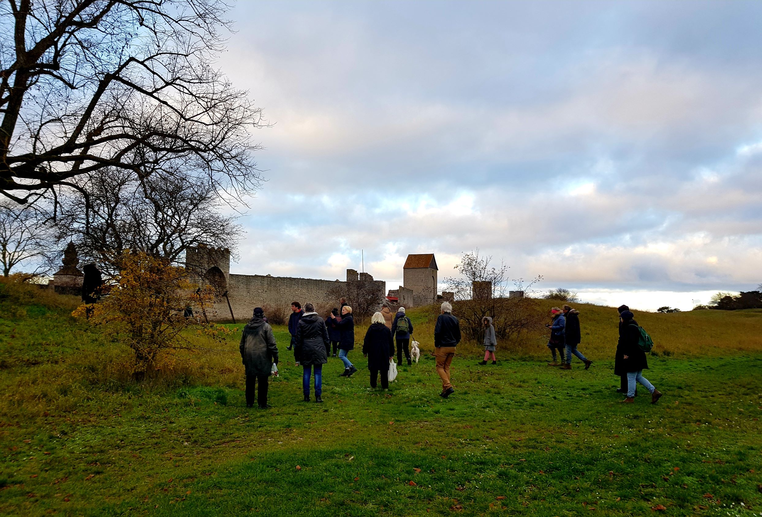 tryffeljakt i östergravar på hösten