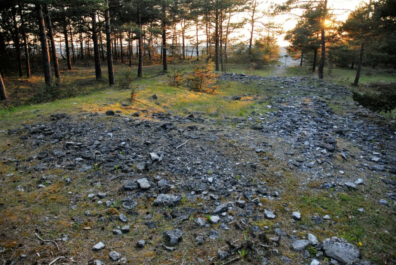 Vikingtida gravfält