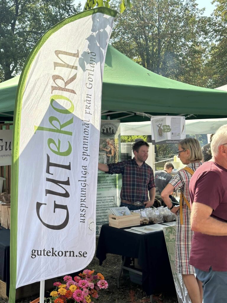 Bild till evenamnget Gutekorn årsmöte i Halla bygdegård