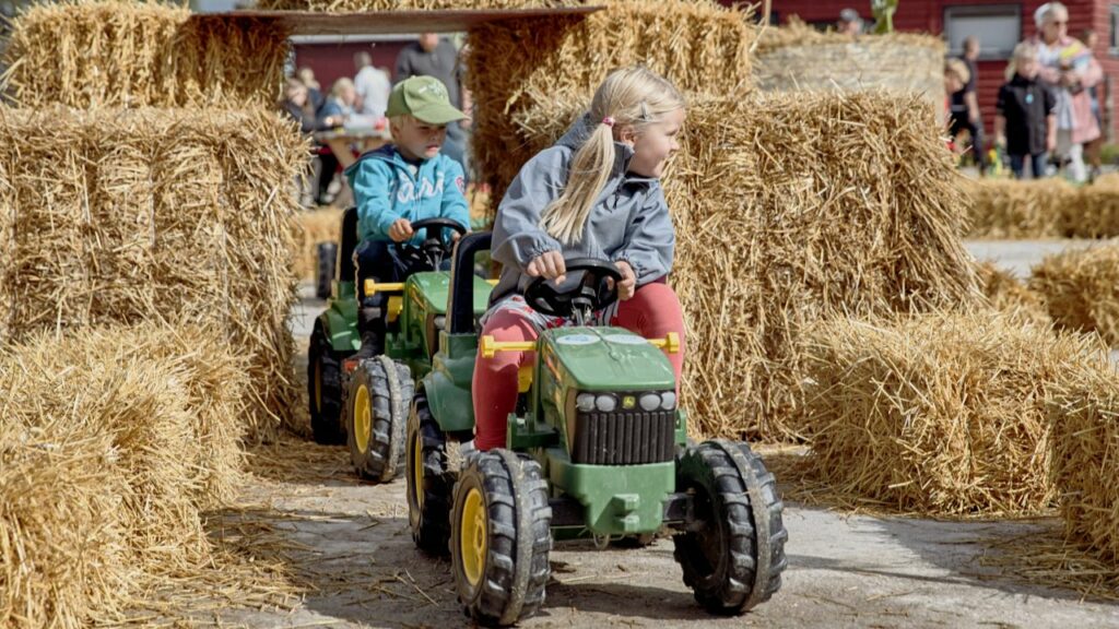 Bild som visar evenemanget Gotlands skördefestival 2026
