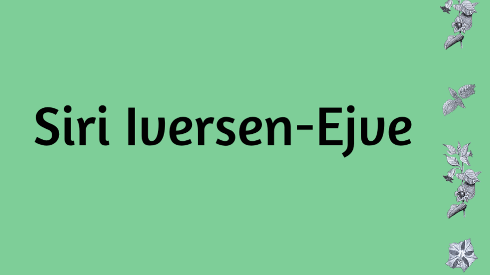 Evenemangsbild