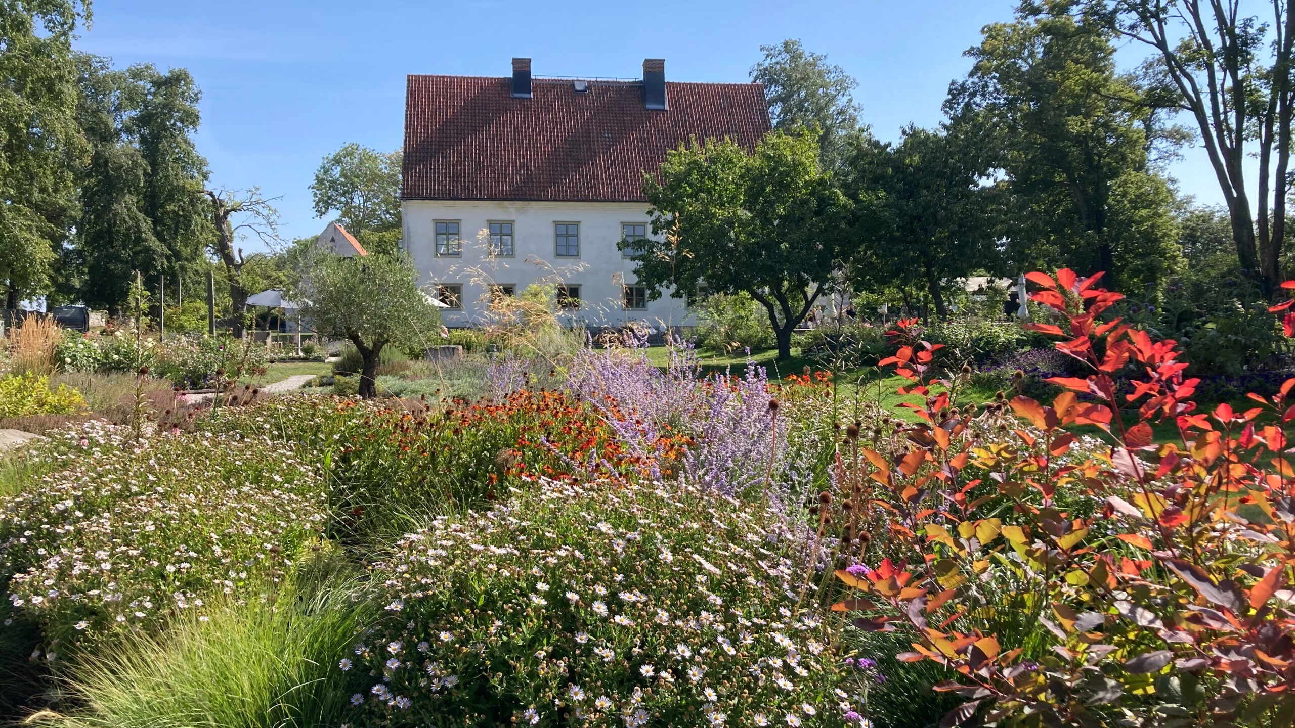 Evenemangsbild