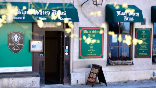 Verksamhetsbild omslag