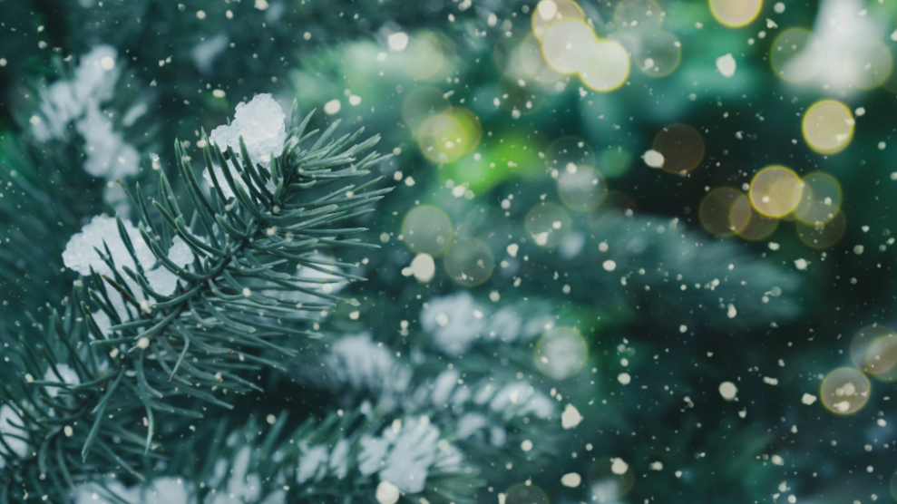 Evenemangsbild omslag