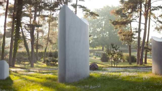 Verksamhetsbild omslag