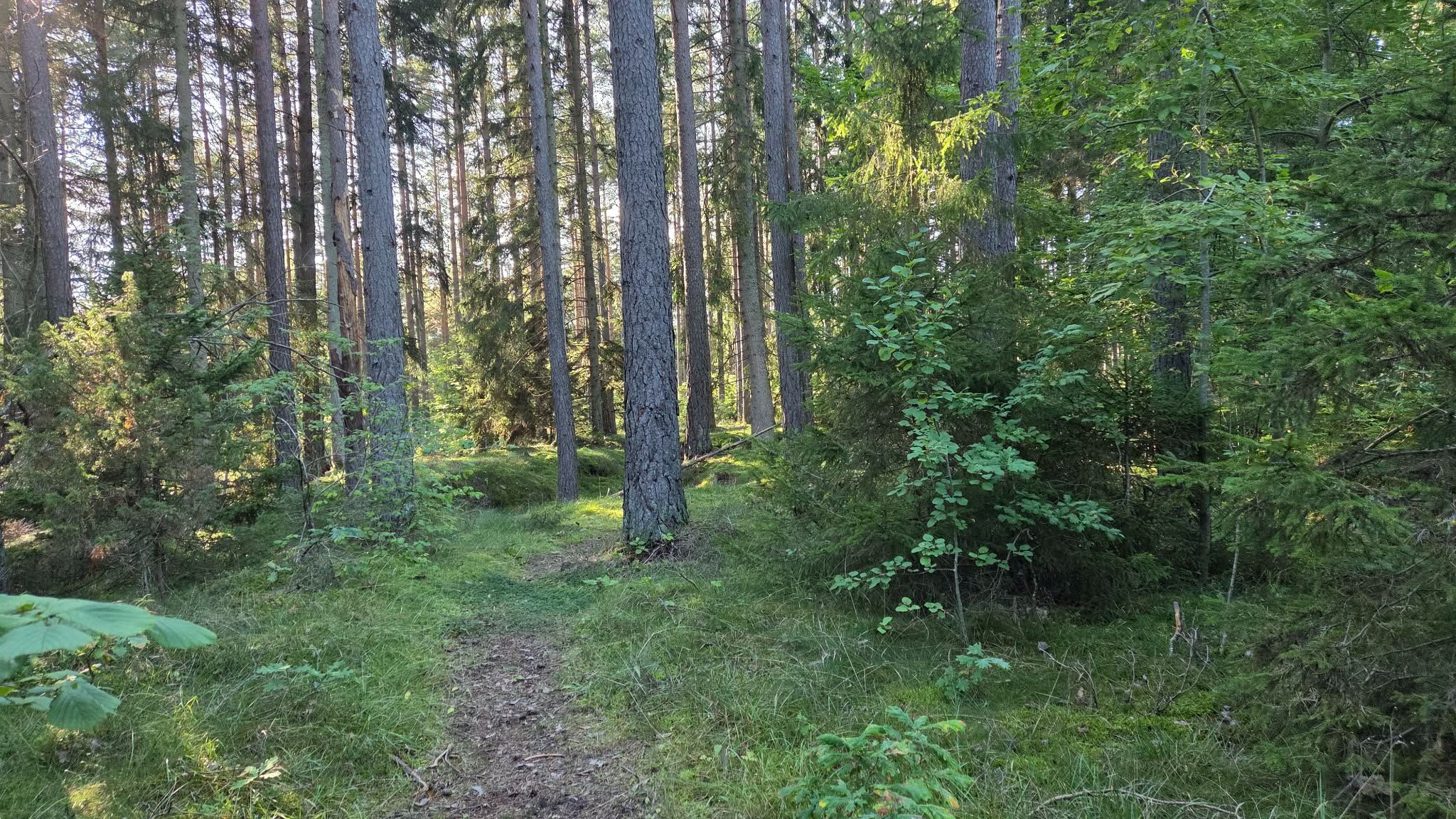 Evenemangsbild