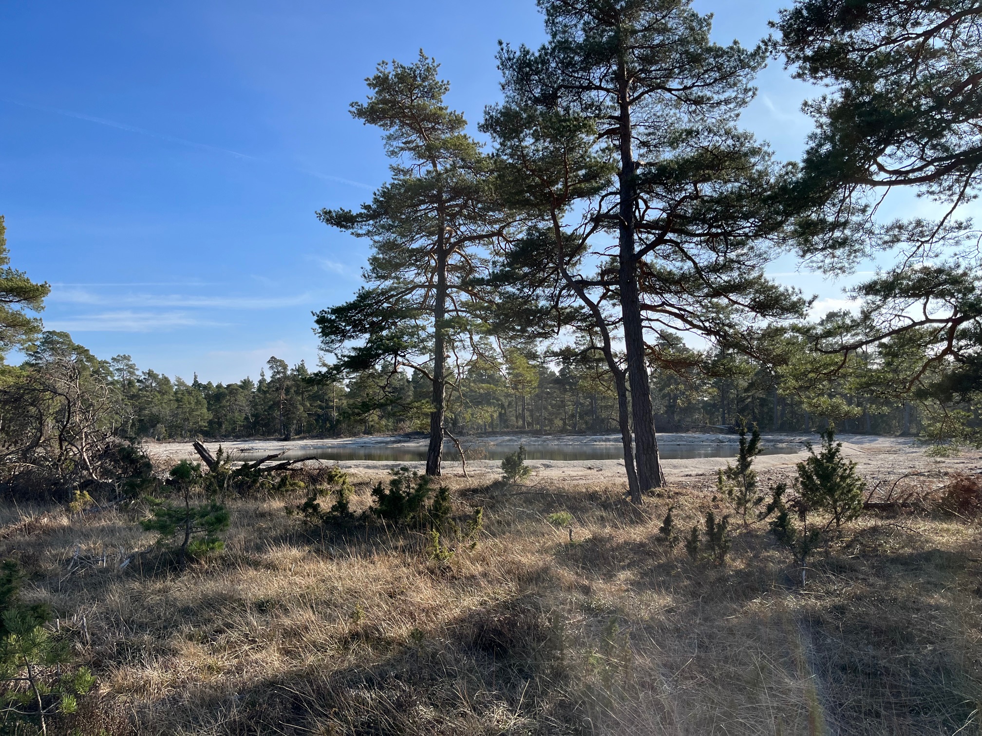 Vandring med guide i Ojnareskogen