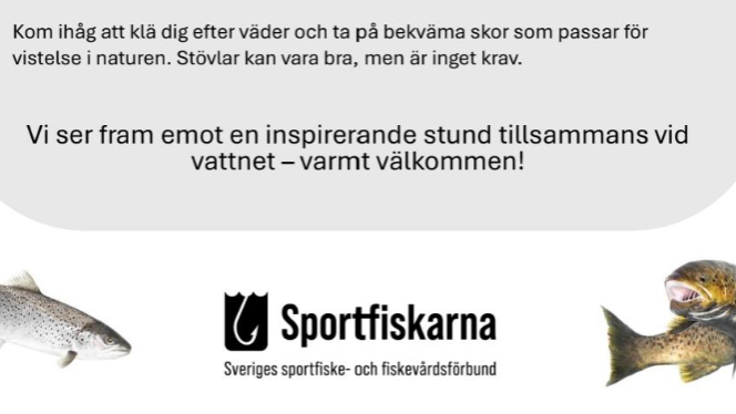Evenemangsbild