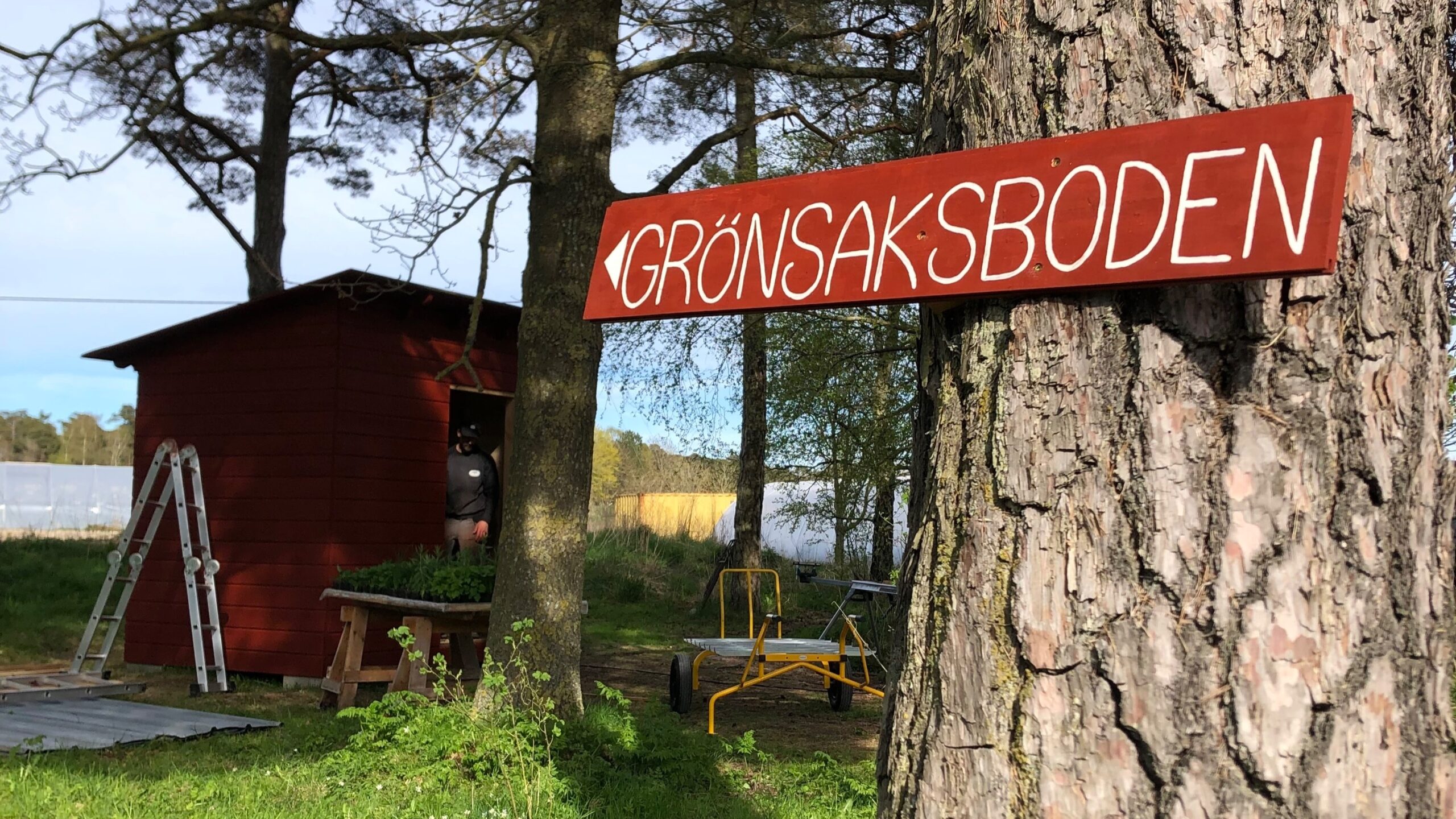 Verksamhetsbild
