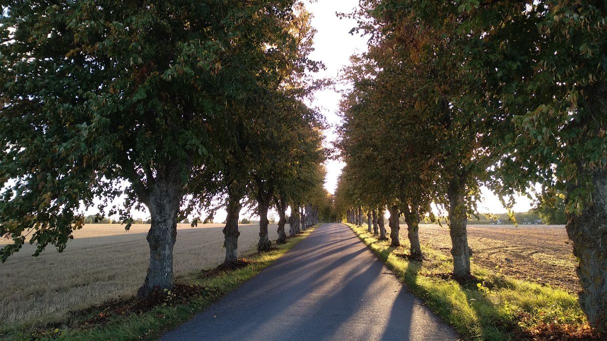Verksamhetsbild