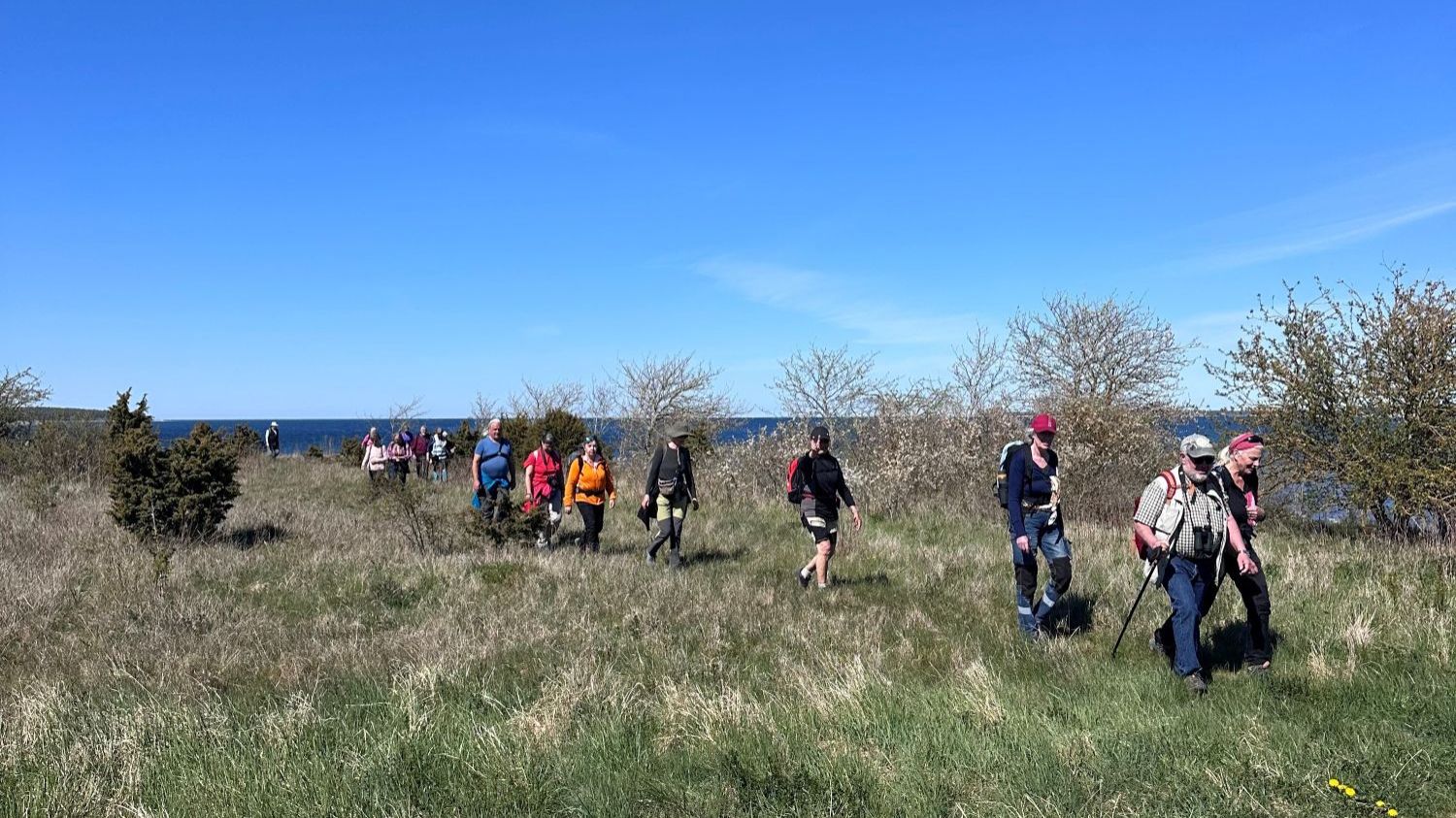 Vandring Gotland runt, Kappelshamn - Bläse