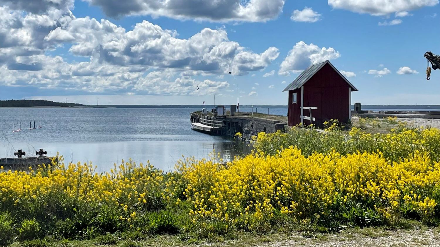 Vandring Gotland runt, Kappelshamn - Bläse