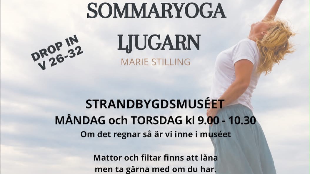 Aktivitetsbild