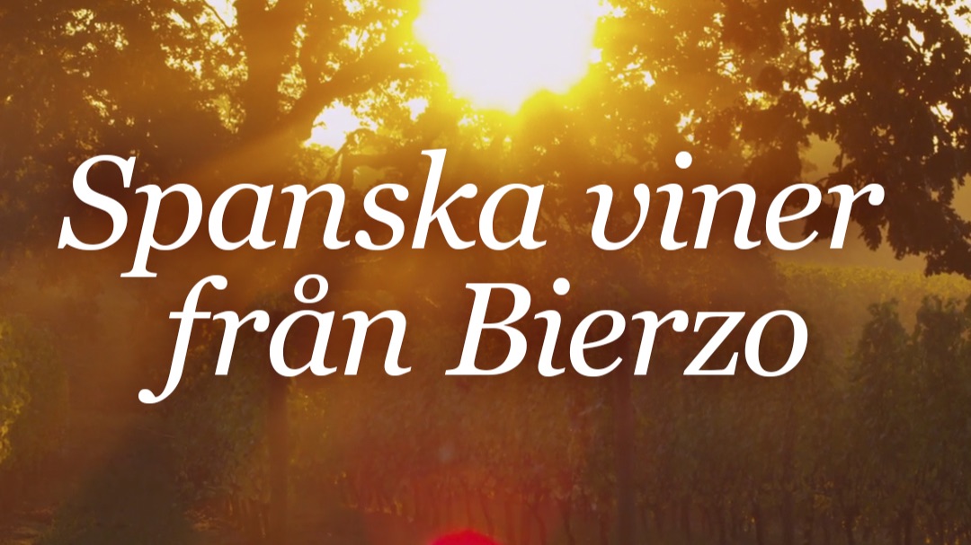 Vill du lära dig mer om vin?