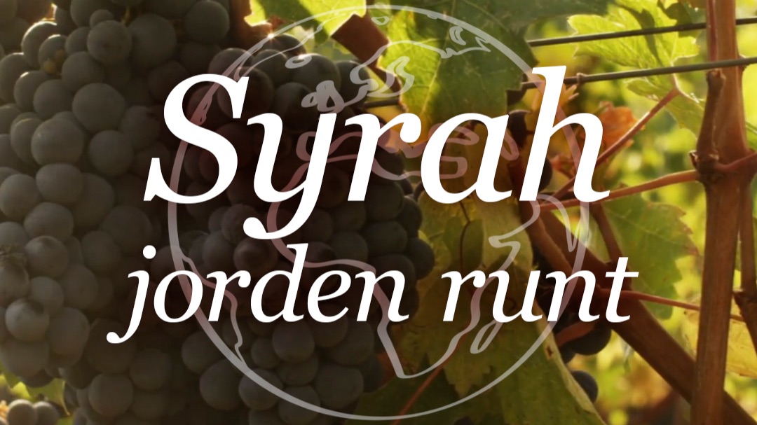 Vill du lära dig mer om vin?