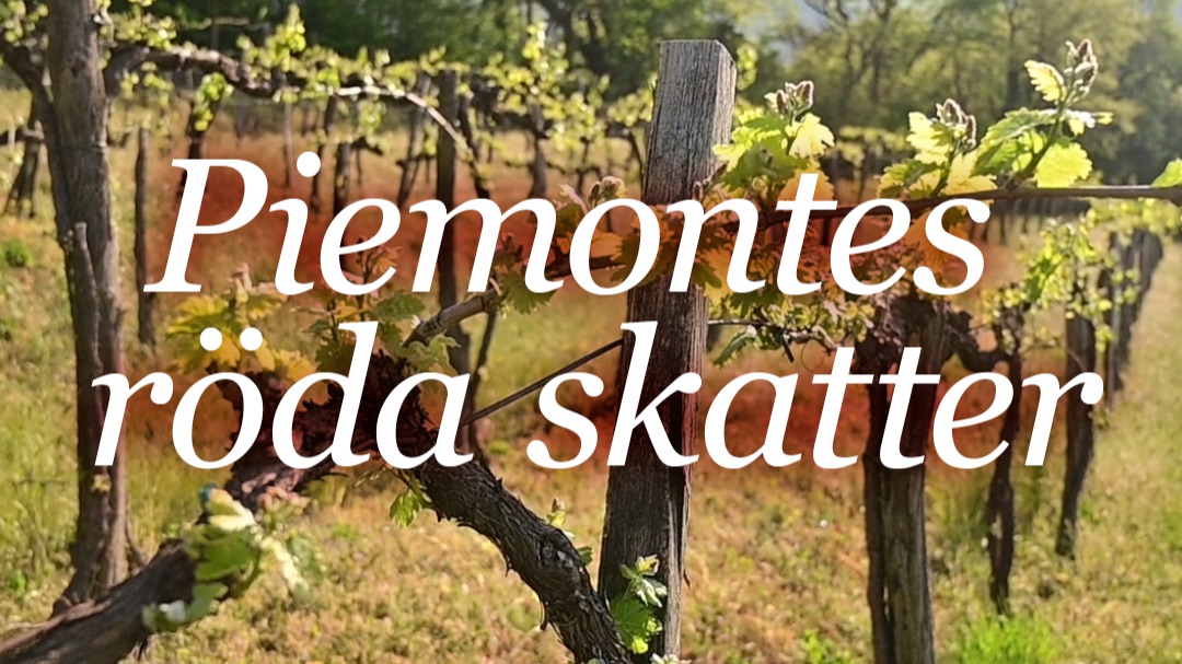 Vill du lära dig mer om vin?