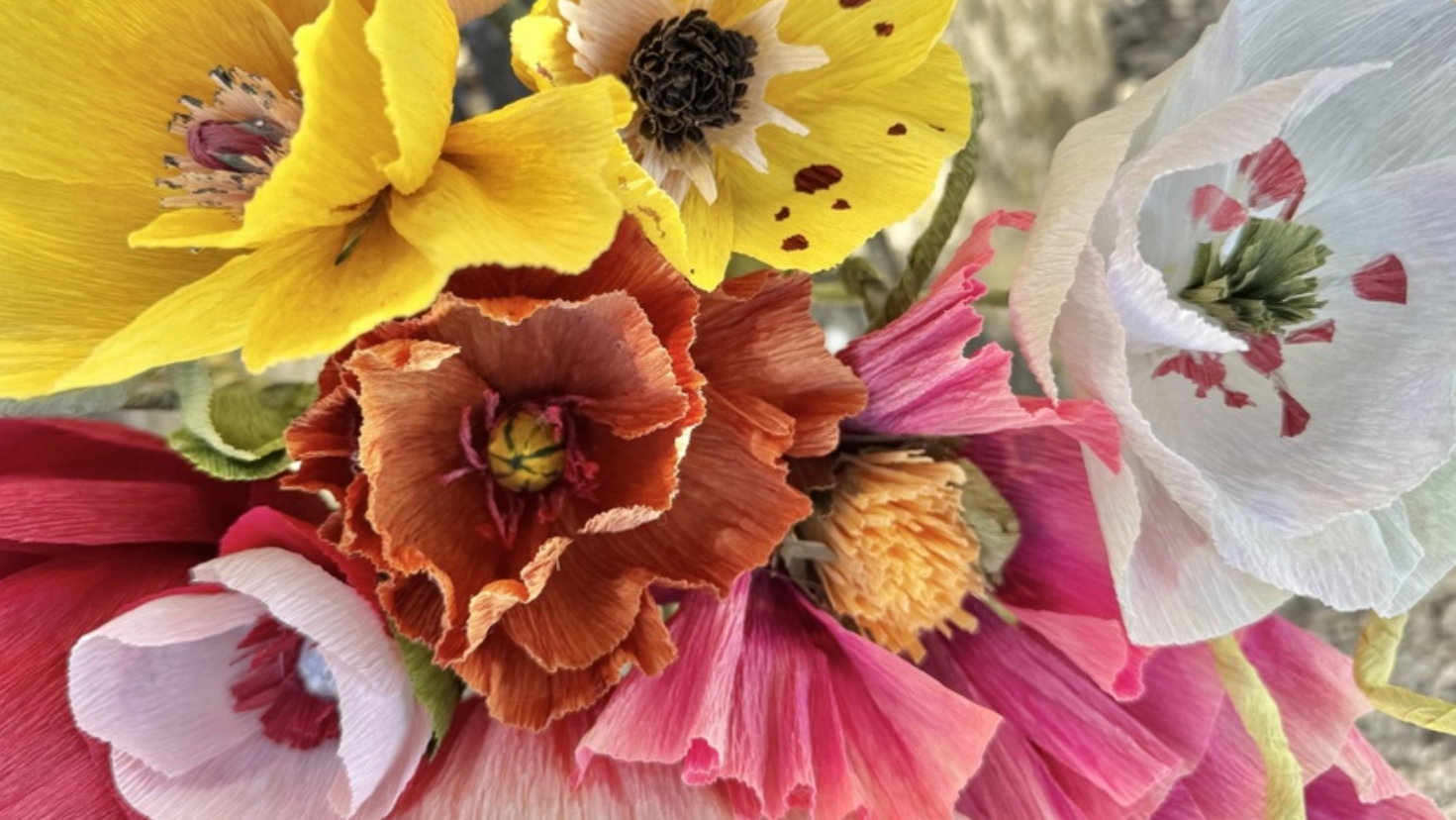 Pappersblommor
