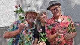 Sommarmusik med Grodda Kapell