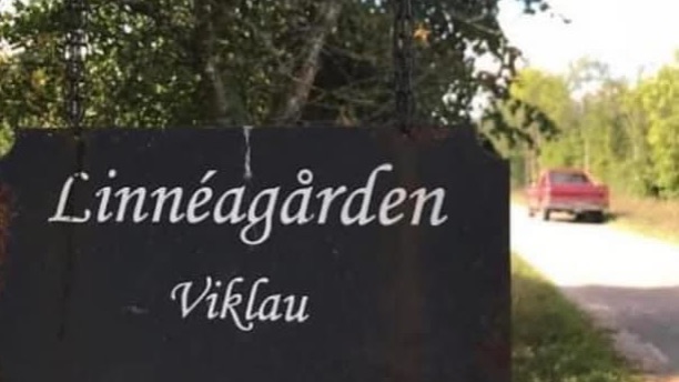 Evenemangbild