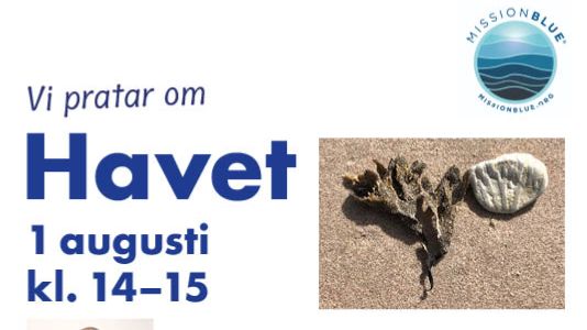 Evenemangsbild