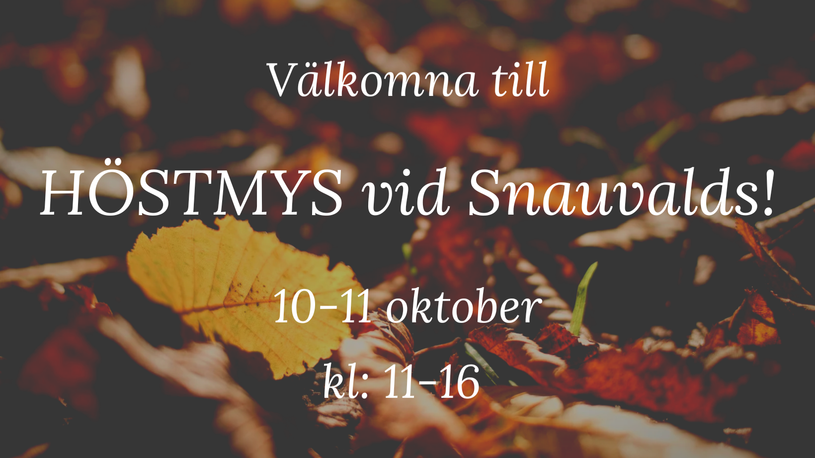 Evenemangsbild