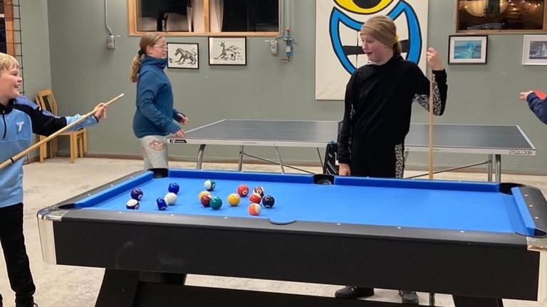 Aktivitetsbild