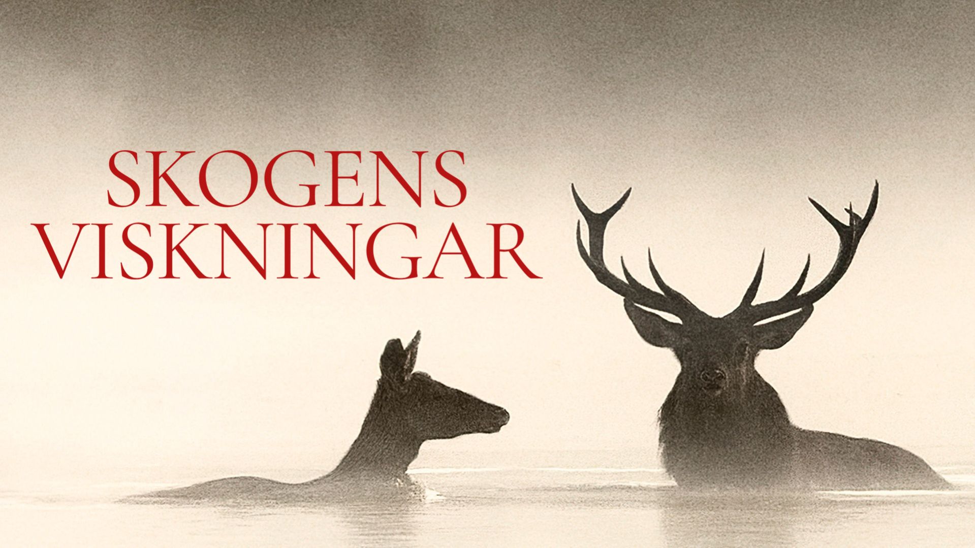 Evenemangsbild