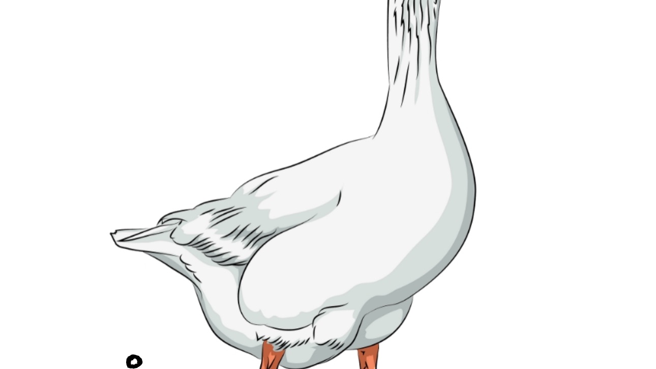 Gåsamiddag