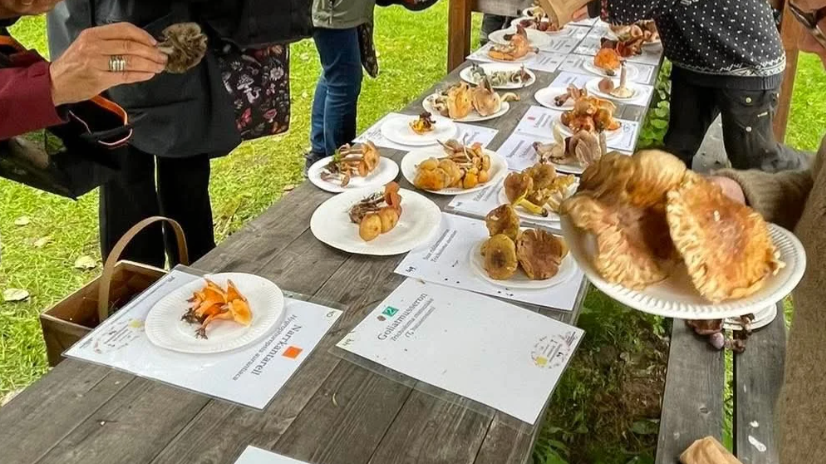 Svamputställning på Warfsholm