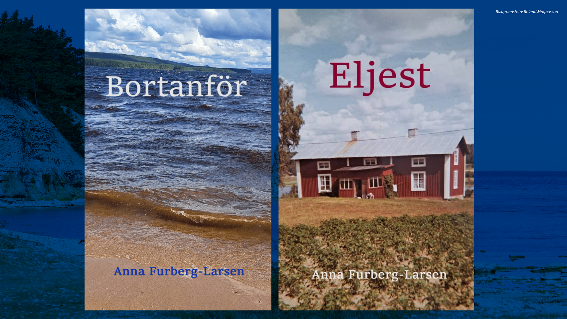 Författarsamtal: Anna Furberg-Larsen